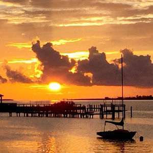 Meet your Posher, Marcy